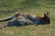 Thumbnail img_0035.jpg 