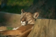 Thumbnail img_0139.jpg 