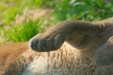 Thumbnail img_0176.jpg 