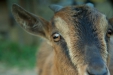 Thumbnail img_0253.jpg 