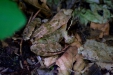 Thumbnail img_1327.jpg 