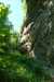 Thumbnail img_1333.jpg 