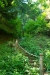 Thumbnail img_1335.jpg 