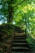 Thumbnail img_1336.jpg 