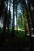 Thumbnail img_1338.jpg 