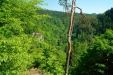Thumbnail img_1340.jpg 