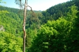 Thumbnail img_1341.jpg 