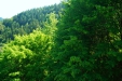 Thumbnail img_1342.jpg 