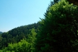 Thumbnail img_1343.jpg 
