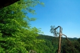 Thumbnail img_1345.jpg 