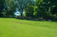 Thumbnail img_1351.jpg 