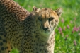 Thumbnail img_1354.jpg 