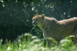 Thumbnail img_1359.jpg 