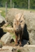 Thumbnail img_1363.jpg 
