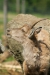 Thumbnail img_1365.jpg 