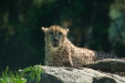 Thumbnail img_1371.jpg 