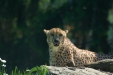 Thumbnail img_1372.jpg 