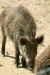 Thumbnail img_1380.jpg 