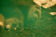 Thumbnail img_1384.jpg 