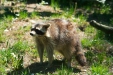 Thumbnail img_1389.jpg 