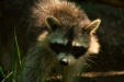 Thumbnail img_1391.jpg 