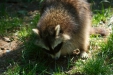 Thumbnail img_1392.jpg 