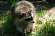 Thumbnail img_1394.jpg 
