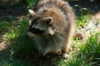 Thumbnail img_1395.jpg 