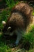 Thumbnail img_1397.jpg 