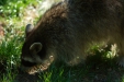 Thumbnail img_1399.jpg 