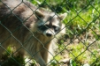 Thumbnail img_1401.jpg 