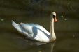 Thumbnail img_1415.jpg 