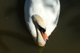 Thumbnail img_1417.jpg 