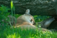 Thumbnail img_1441.jpg 