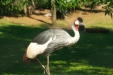 Thumbnail img_1446.jpg 