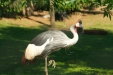 Thumbnail img_1447.jpg 