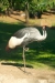 Thumbnail img_1448.jpg 