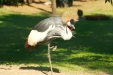 Thumbnail img_1449.jpg 