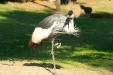 Thumbnail img_1450.jpg 