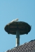 Thumbnail img_1452.jpg 
