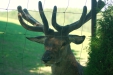 Thumbnail img_1453.jpg 