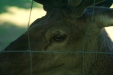 Thumbnail img_1455.jpg 