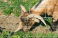 Thumbnail img_1461.jpg 