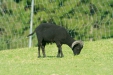 Thumbnail img_1467.jpg 