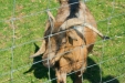 Thumbnail img_1469.jpg 