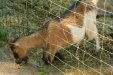 Thumbnail img_1478.jpg 