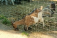 Thumbnail img_1479.jpg 