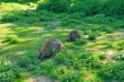 Thumbnail img_1495.jpg 