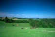 Thumbnail img_1500.jpg 