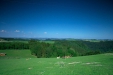 Thumbnail img_1501.jpg 